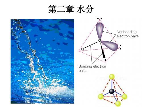 第二章 水分