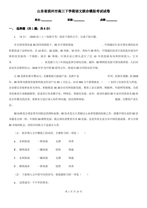 山东省滨州市高三下学期语文联合模拟考试试卷