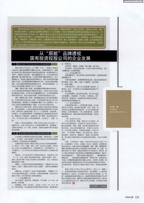 从“辰能”品牌透视国有投资控股公司的企业发展