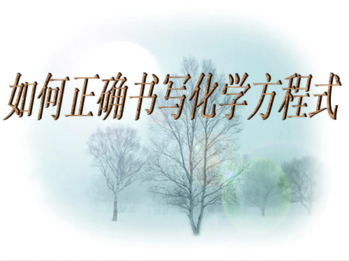 人教版九年级上册化学 5.2 如何正确书写化学方程式 课件 (共21张PPT)
