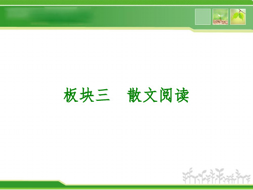 现代文阅读-----散文