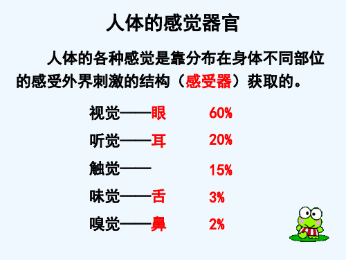 生物人教版七年级下册461人体对外界环境的感知 第一课时 眼和视觉-精品PPT课件