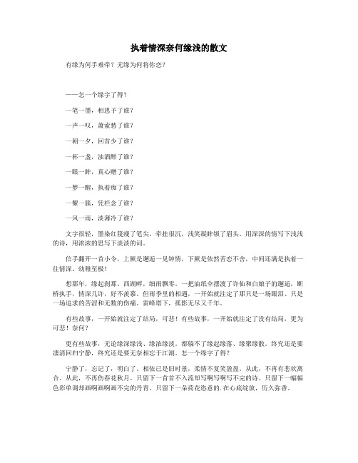 执着情深奈何缘浅的散文