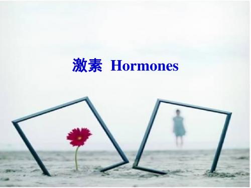 药化11 激素