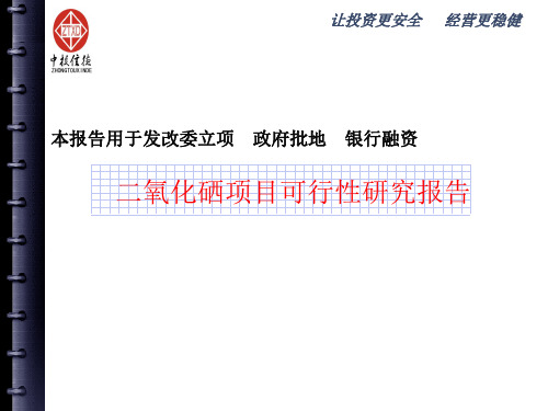 二氧化硒项目可行性研究报告