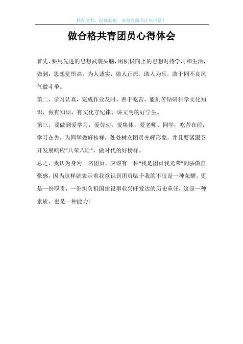 做合格共青团员心得体会