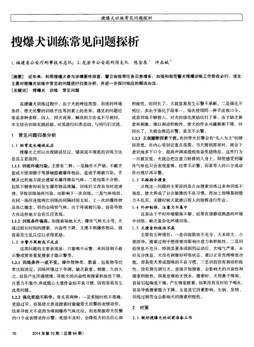 搜爆犬训练常见问题探析