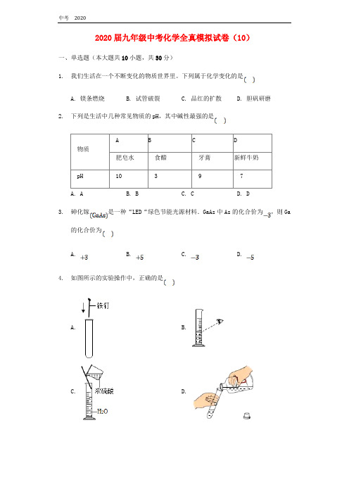 2020届九年级化学全真模拟试卷10含解析