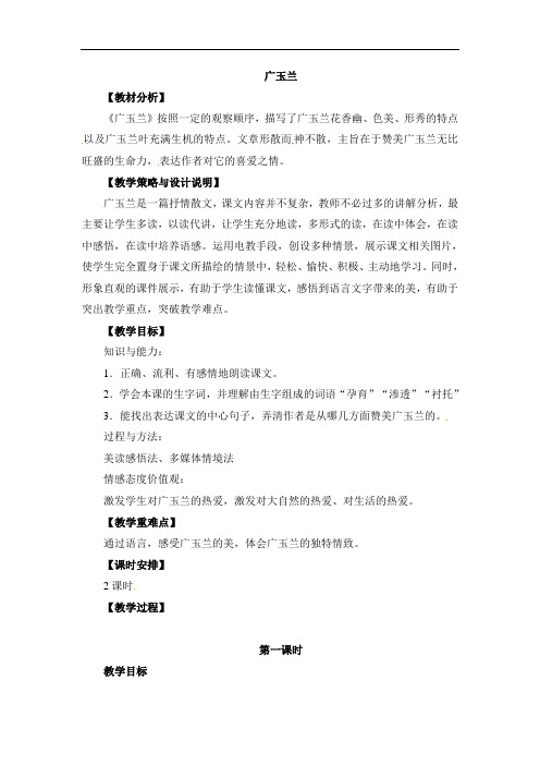 六年级下册语文教案-18广玉兰 2苏教版
