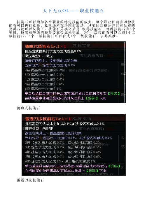 天下无双OL——职业技能石