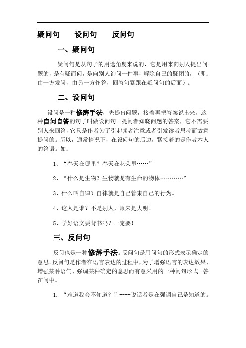 最新疑问句--设问句--反问句复习过程
