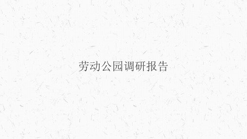 大连劳动公园调研报告