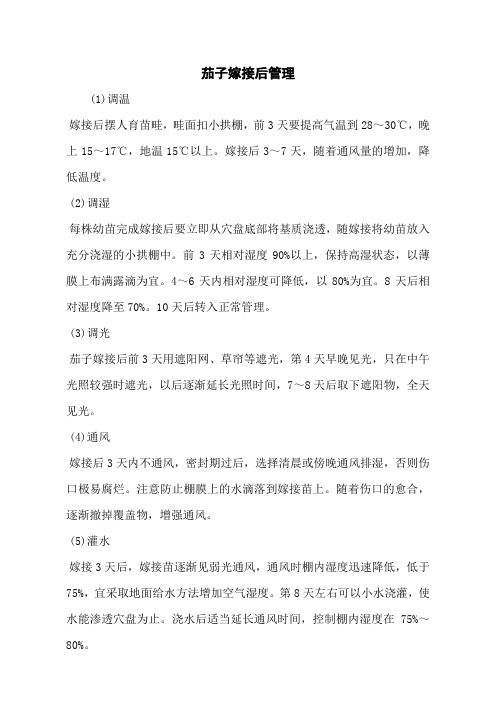 茄子嫁接后管理