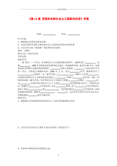 湖北省孝感市孝南区肖港初级中学九年级历史上册《第12课 苏联和东欧社会主义国家的改革》名师精编学案(无