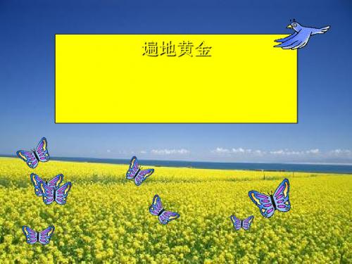 《遍地黄金》PPT课件(上课用)3