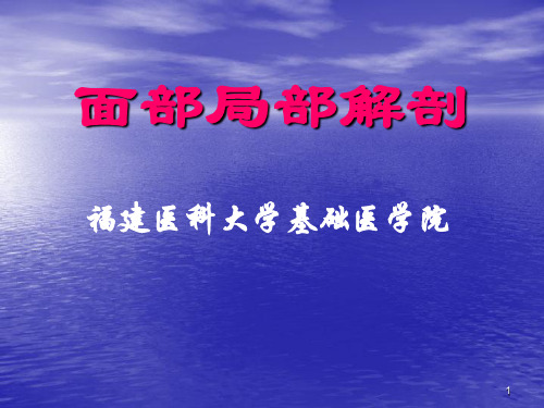 面部局部解剖PPT课件