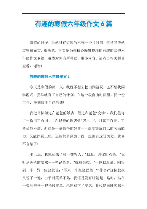 有趣的寒假六年级作文6篇