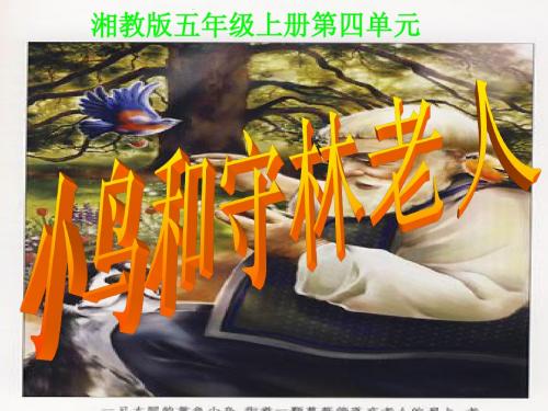 小鸟和守林老人