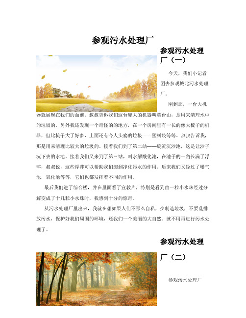 参观污水处理厂(共10篇)