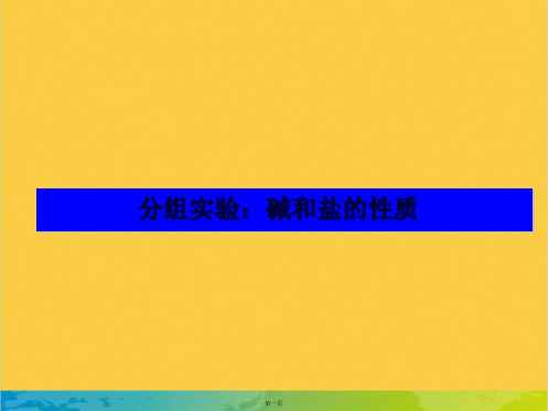 分组实验碱和盐的性质完整PPT
