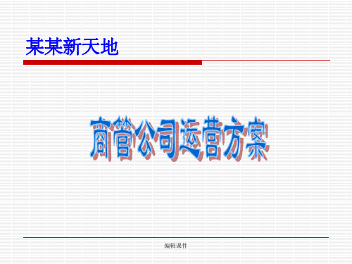 某商业经营管理公司运营方案