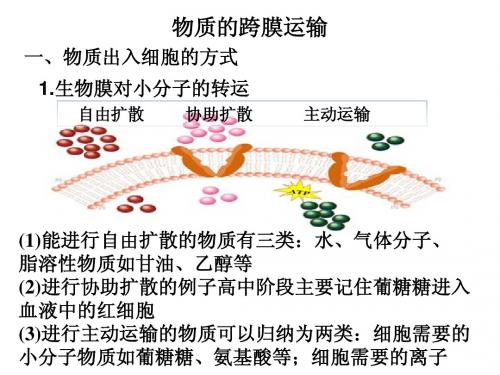 2014高三生物复习7 物质的跨膜运输