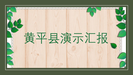 黄平县演示汇报