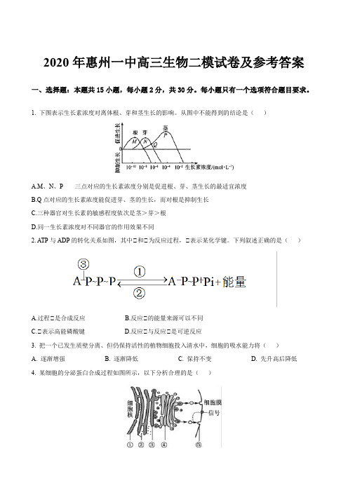 2020年惠州一中高三生物二模试卷及参考答案