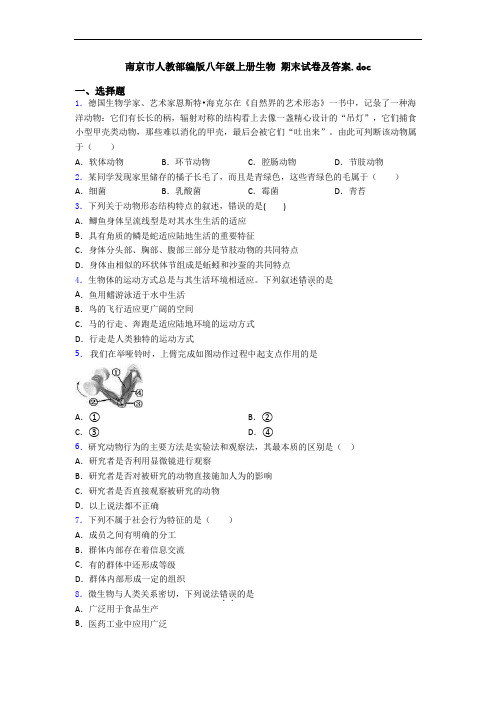 南京市人教部编版八年级上册生物 期末试卷及答案