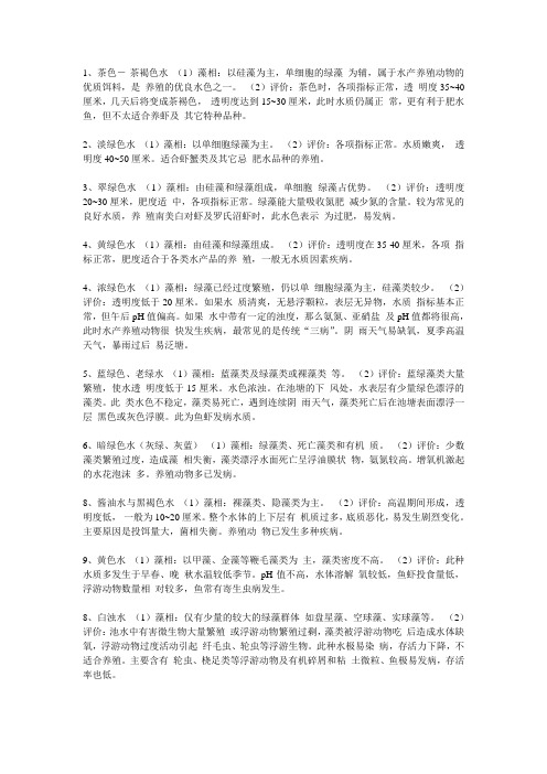 水色与藻相