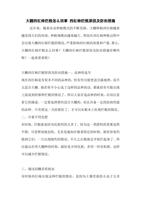 大棚西红柿烂根怎么回事 西红柿烂根原因及防治措施