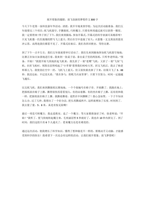 展开想象的翅膀,放飞创新的梦想作文800字全面版