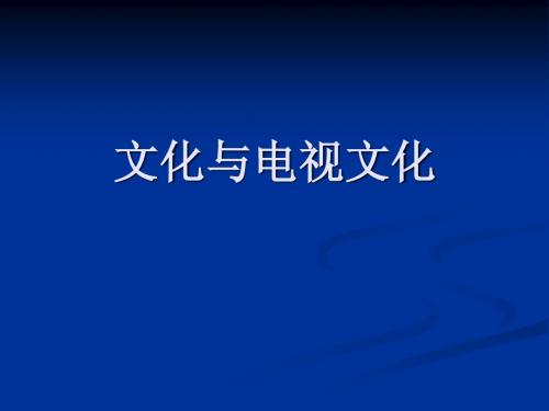 电视文化1