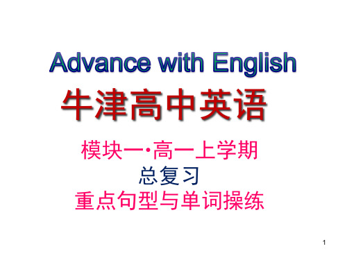 牛津高中英语模块一总复习(高一上学期)重点句式与单词