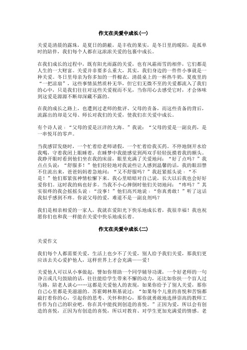 作文在关爱中成长
