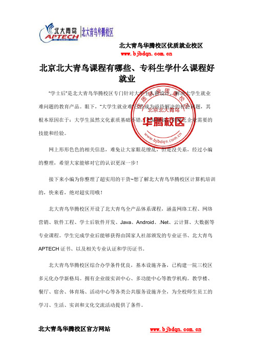 北京北大青鸟课程有哪些、专科生学什么课程好就业