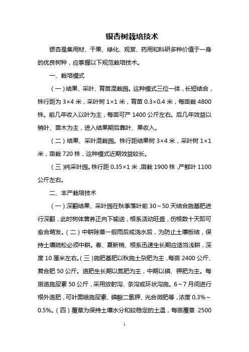 银杏树栽培技术