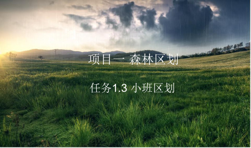 任务2.3小班区划(1)解析