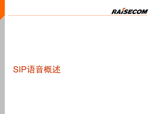 SIP语音概述ppt课件