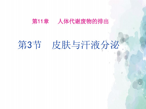 北师大版-生物-七年级下册 11.3皮肤与汗液分泌第1课时 教学课件