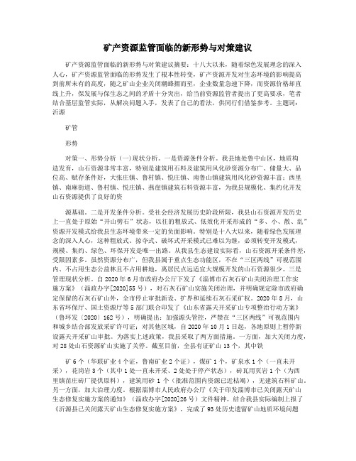 矿产资源监管面临的新形势与对策建议
