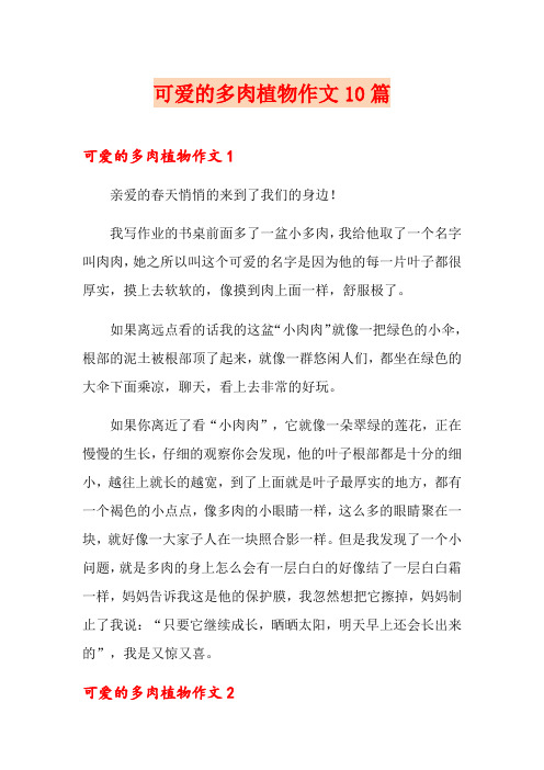 可爱的多肉植物作文10篇