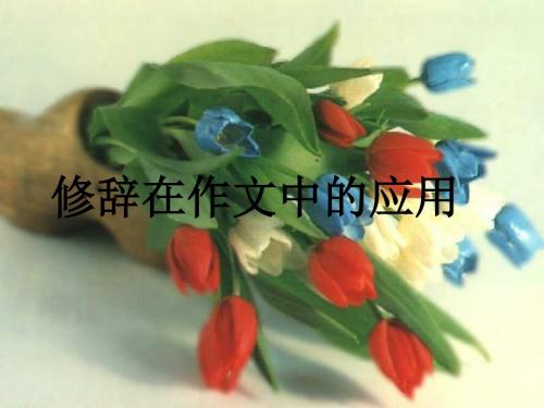 初中作文指导：修辞在作文中的应用优秀课件
