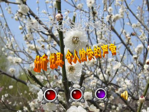 新沪科版八年3.2《声音的特性》课件