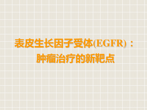 EGFR幻灯