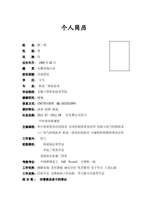 个人简历12