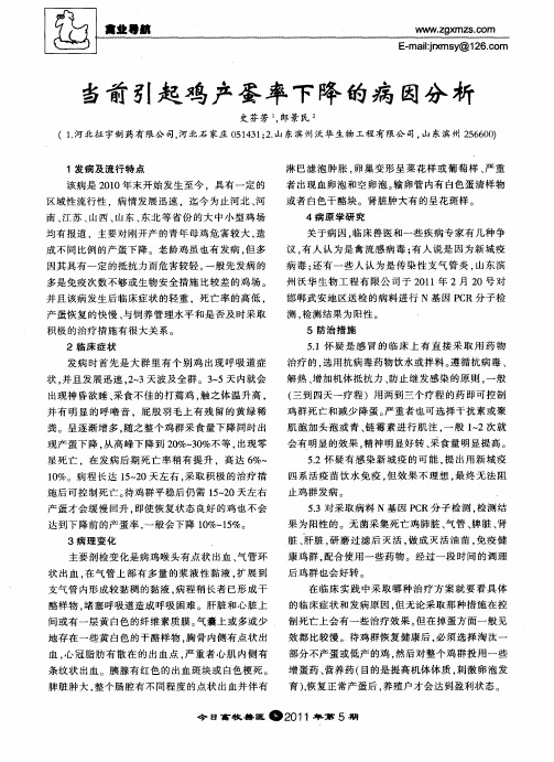 当前引起鸡产蛋率下降的病因分析