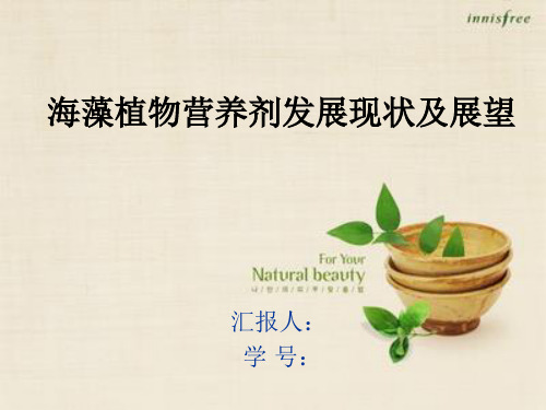 海藻植物营养剂的开发现状