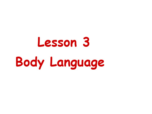 北师大版高中英语unit19 lesson 3 课件