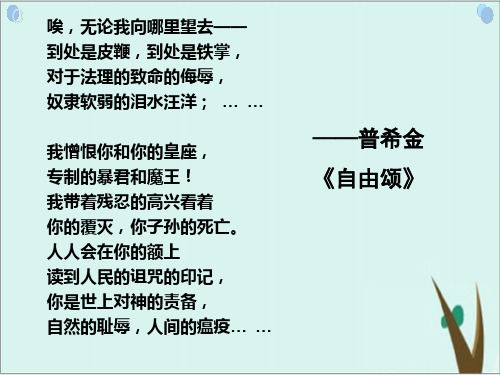 《俄国农奴制改革》PPT精品课件岳麓版1